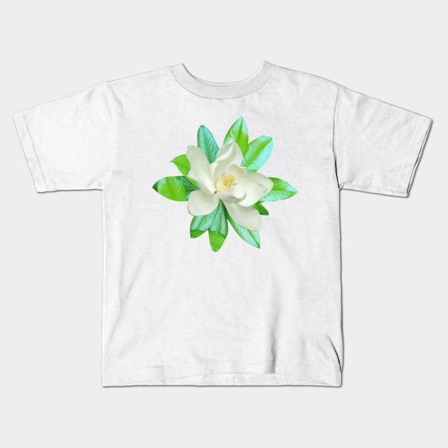 Magnolia flower flora Kids T-Shirt by Kingluigi